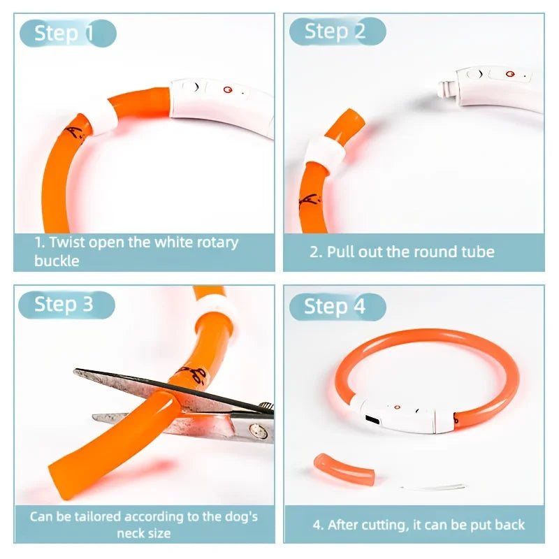 LED Dog Collar USB Rechargeable | Glowing Night Safety Collar