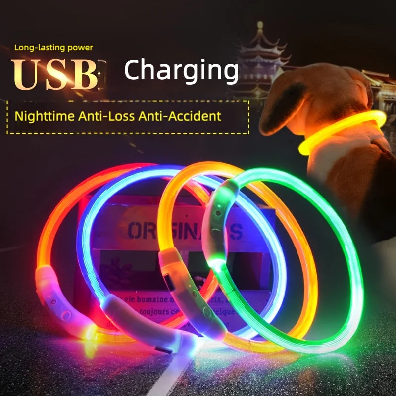 LED Dog Collar USB Rechargeable | Glowing Night Safety Collar