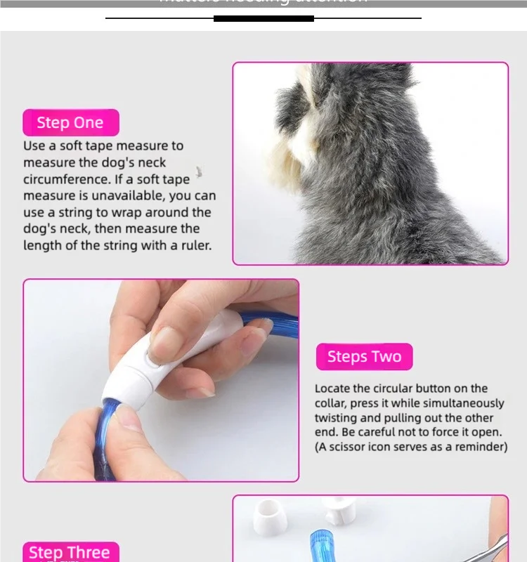 LED Dog Collar USB Rechargeable | Glowing Night Safety Collar