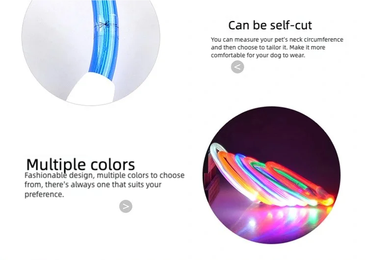 LED Dog Collar USB Rechargeable | Glowing Night Safety Collar