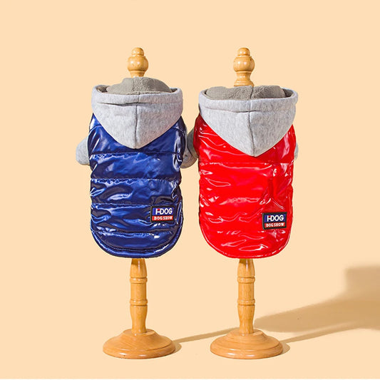 Warm Hooded Autumn & Winter Pet Clothes – Cold-Proof Two-Leg Hoodie for Cats and Small Dogs