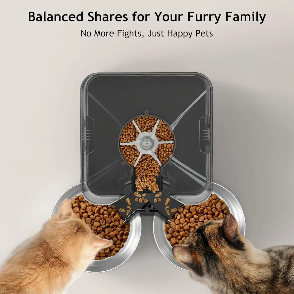 Automatic Cat Feeder for Two Cats | 6L Double Bowl Feeder