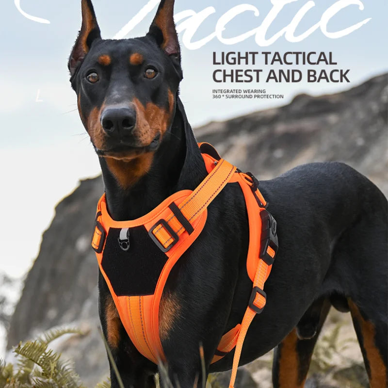 Reflective Dog Harness | Adjustable No-Pull Nylon Pet Harness