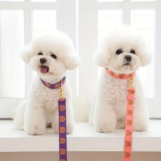 Durable Pet Collar | V-Neck Design for Cats & Dogs