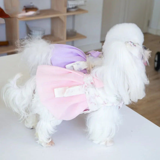 Fashion Pet Dress for Small Dogs & Cats – Cute Puppy Clothing | Designer Dog Outfit