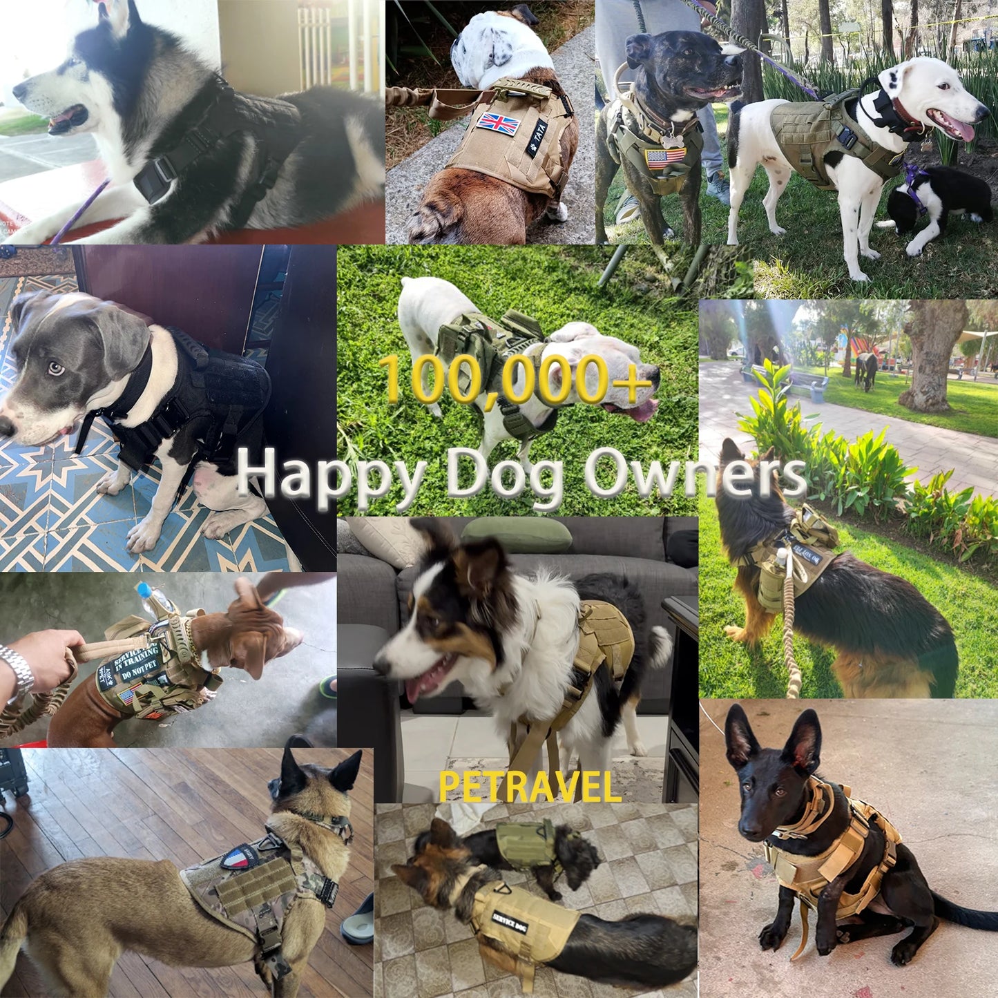 Tactical Dog Harness Set | MOLLE Training Vest for Large Dogs