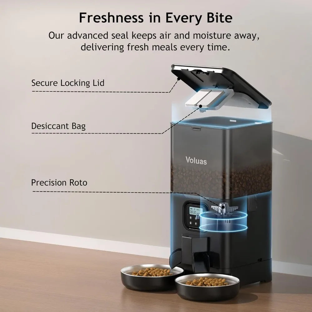 Automatic Cat Feeder for Two Cats | 6L Double Bowl Feeder