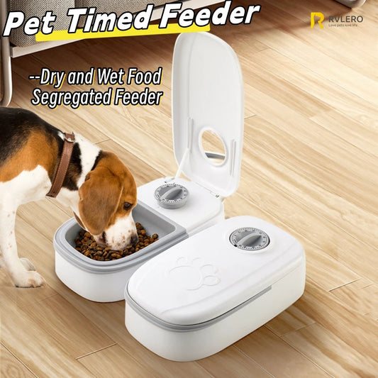 Timed Pet Feeder Bowl | Single & Dual Meal Feeder