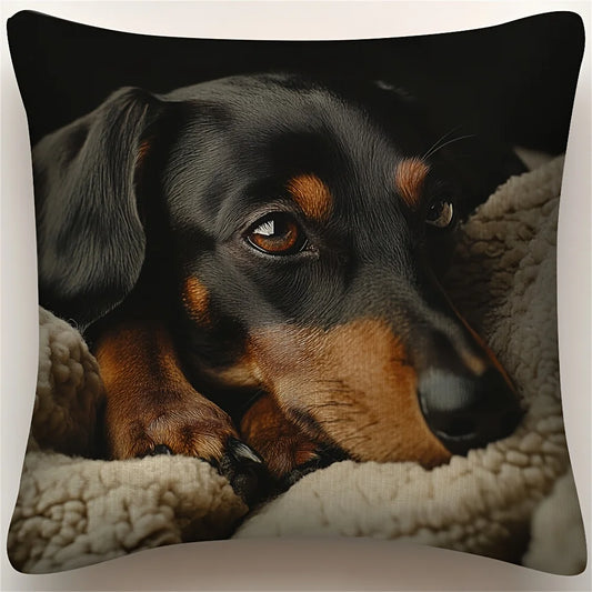 Dachshund Throw Pillow Cover | Square Cushion Case Decor
