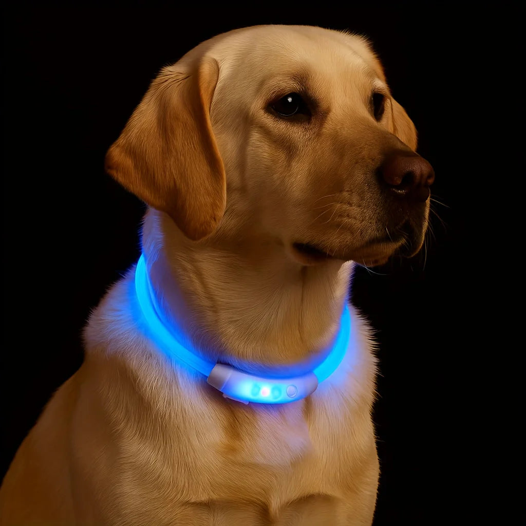 LED Dog Collar USB Rechargeable | Glowing Night Safety Collar
