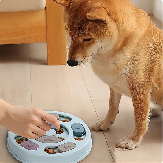 Dog Educational Feeding Toy | Interactive Food Dispenser
