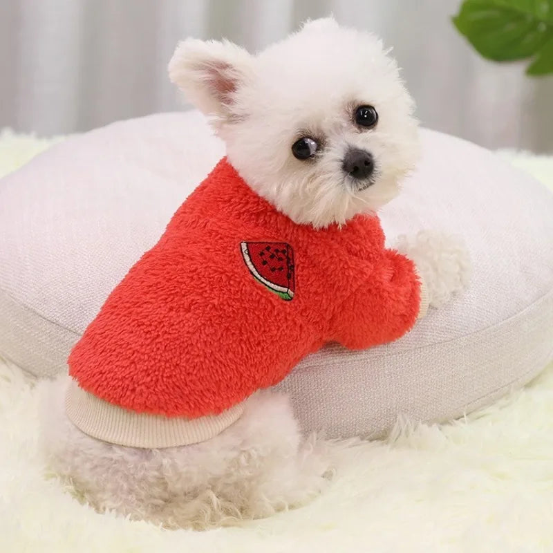 Warm Pet Hoodie for Small Dogs – Soft Winter Coat & Puppy Outfit for Small Breeds