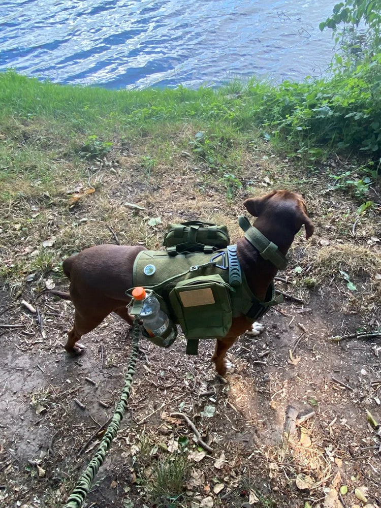 Tactical Dog Harness Set | MOLLE Training Vest for Large Dogs